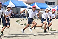 Photo_5