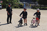 Img_0164 Img_0164