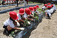 Img_0375 Img_0375
