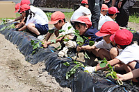 Img_0385 Img_0385