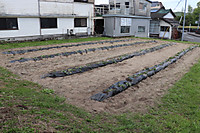 Img_0401 Img_0401