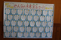 Img_0738 Img_0738