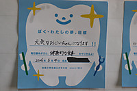 Img_0739 Img_0739
