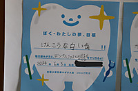 Img_0740 Img_0740