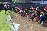 Img_1191