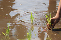 Img_1204_2