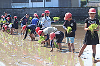 Img_1211