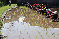 Img_1222