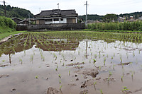 Img_1259