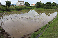Img_1270