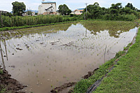 Img_1271