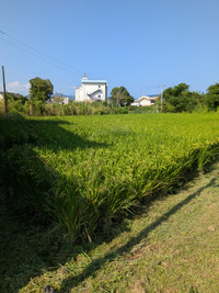 Pxl_20260922_002416676